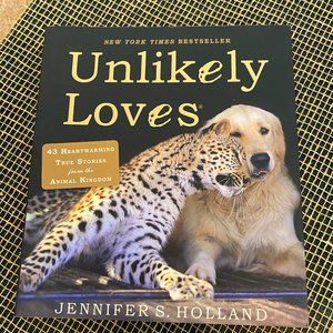 💗 Unlikely Loves - 43 Heartwarming Stories